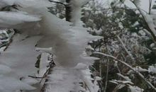 地白风色寒，雪花大如手