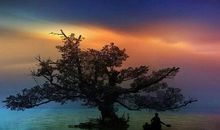 野旷天低树，江清月近人