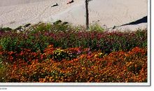 泉夫人（一）_3000字