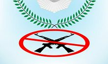 鸟的战争（二）_3000字