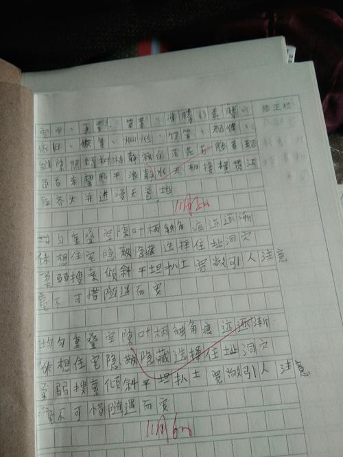 新的开始，好习惯_700字