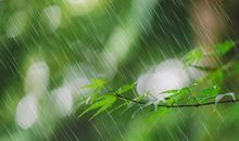 好雨知时节，当春乃发生