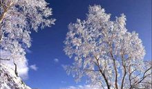 北风卷地白草折，胡天八月即飞雪