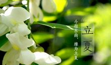日长睡起无情思， 闲看儿童捉柳花