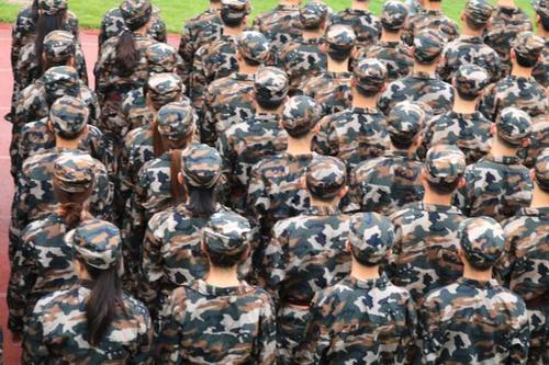 我不能忘记军事训练_550字