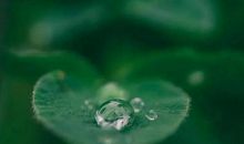 随风潜入夜，润物细无声