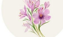 垂下帘栊。双燕归来细雨中。