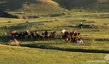 好水好山看不足，马蹄催趁月明归