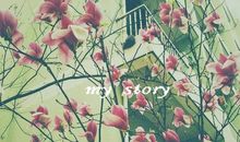 燕子又将春色去。纱窗一阵黄昏雨。