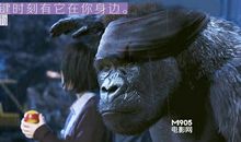 《大明猩》观后感_1200字