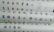 除夕更阑人不睡，厌禳钝滞迎新岁