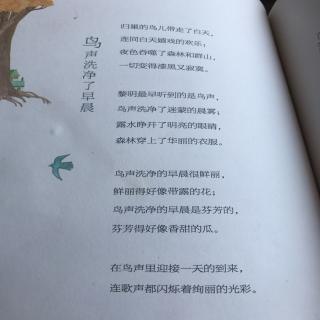 蒲公英_50字