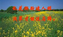 乱花渐欲迷人眼，浅草才能没马蹄