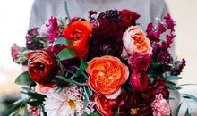 我们要的不是衣食无忧_700字