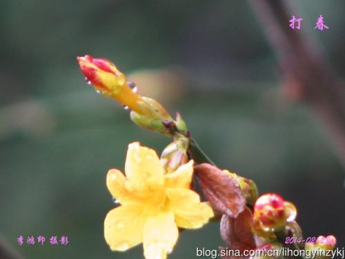 雨中的雨_1000字