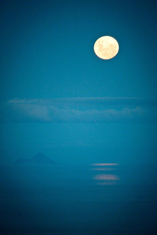 海出生月，世界