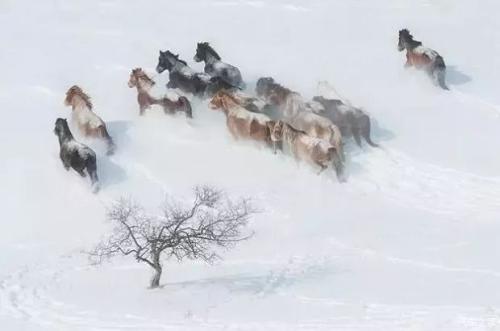 草枯鹰眼疾，雪尽马蹄轻