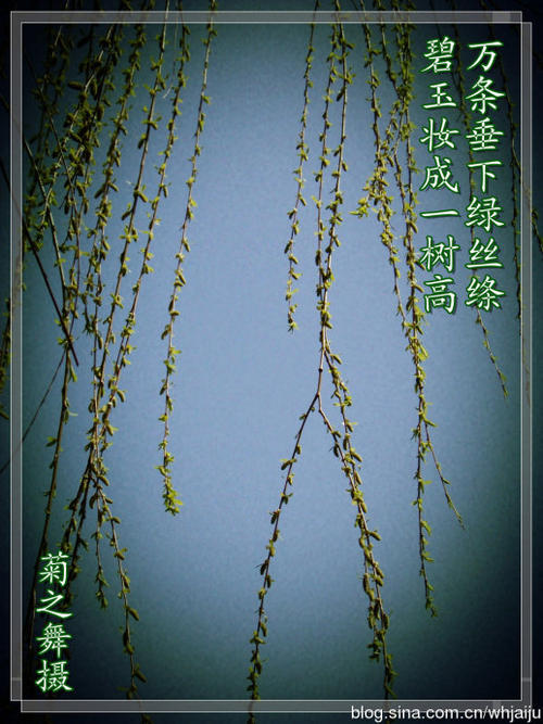 毕玉制成一棵大树，10,000挂绿色丝绸
