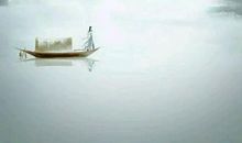 小楼一夜听春雨，深巷明朝卖杏花