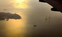 清香随风发，落日好鸟归。