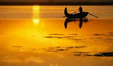 远雁下平沙，嘹亮遗凄唳。