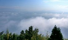 城上日出群乌飞，鸦鸦争赴朝阳枝。