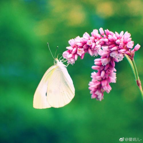 在逗留期间，在你的一天时跳舞。