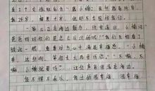 给十年后的自己_450字