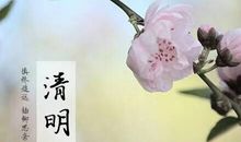 柘弹何人发，黄鹂隔故宫。