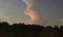 海上众鸟不敢飞，中有鲤鱼长且肥。