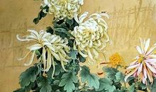 宁可枝头抱香死，何曾吹落北风中