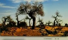 征蓬出汉塞，归雁入胡天。