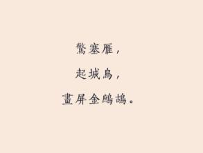 令人惊叹的鹅，开始城市，这张照片是金色的。