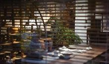 翠叶藏莺，朱帘隔燕。