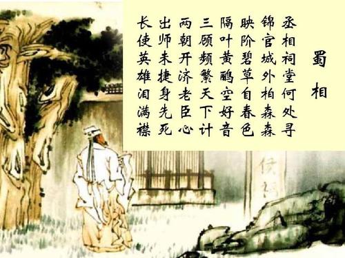 在春天的Abbothebed，孤立在叶子上。