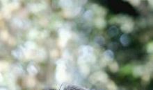 让眼泪化作相思雨_900字