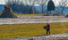 布谷飞飞劝早耕，舂锄扑扑趁春睛。