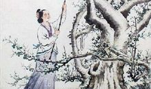 啼时惊妾梦，不得到辽西。