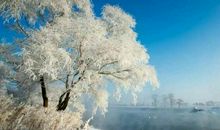 正是霜风飘断处，寒鸥惊起一双双。