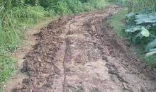 走过的泥巴路_550字