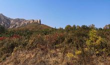 磁山奇遇_2000字