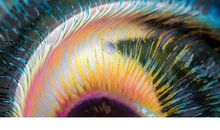 严妆欲罢啭黄鹂，飞上万年枝。