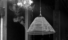 寻找远去的天涯_400字