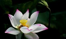 第三十五则：无势利气 去粗浮心