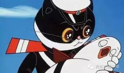 我和黑猫警长解决了案例_300字