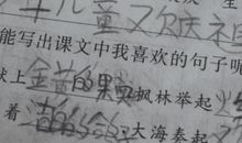 关于习惯的作文：坏习惯_1200字
