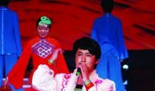 [2015新年心愿]登上百姓舞台——星光大道_700字