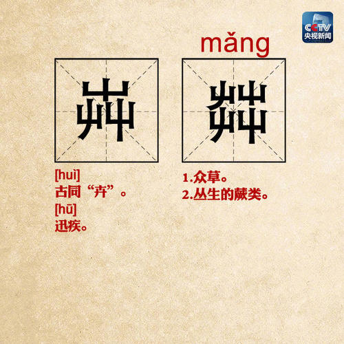 如果我从未见过你_600字