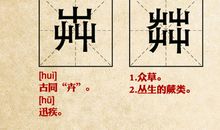 如果我从未认识你_600字