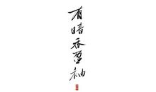 [2015新年心愿]只愿暗香盈怀_1200字